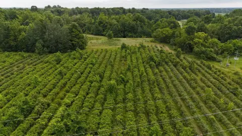 Versatile Farmland Parcel