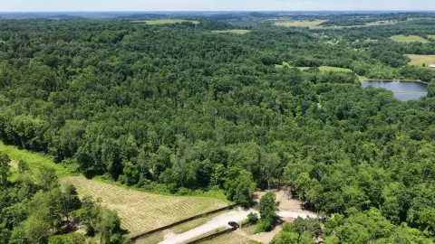 Vacant Hunting Land Tract