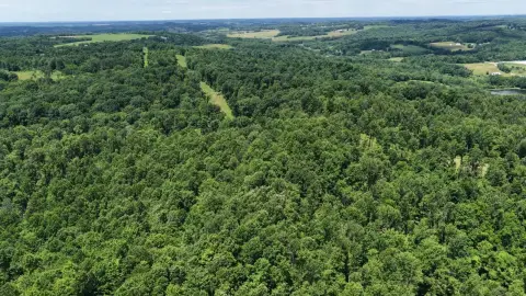 Private Hunting Tract with Water Feature
