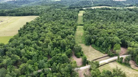 Turn-Key Hunting and Buildable Land