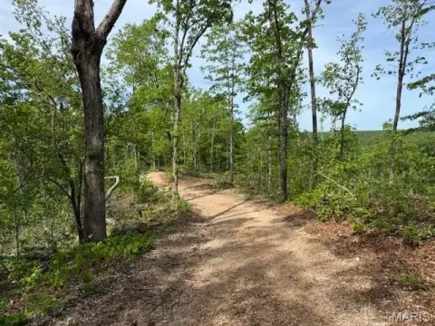Recreational Hunting Land Tract