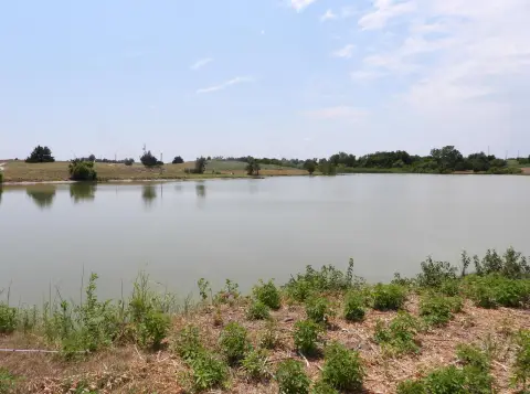220 Acre Farm with Pond