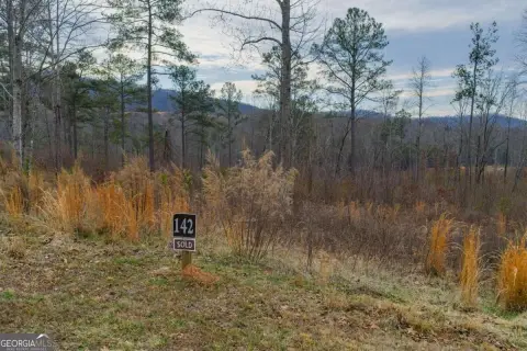 Mountain View Homesite Opportunity