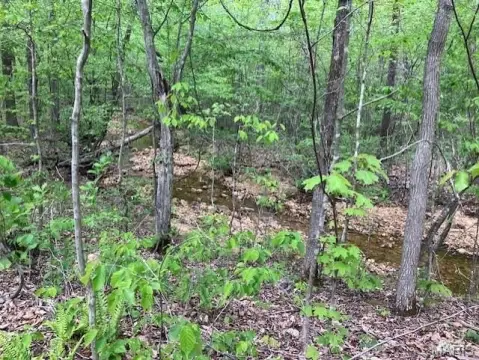 Wooded Land with Stream