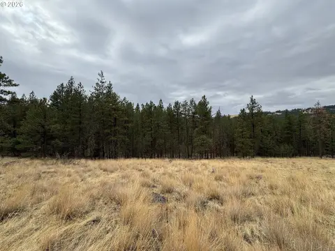 Recreational Land with Seasonal Creek