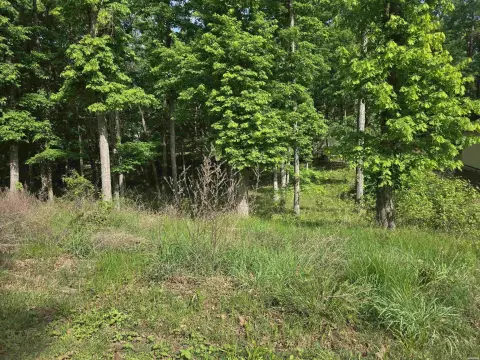Residential Lot in Diamondhead