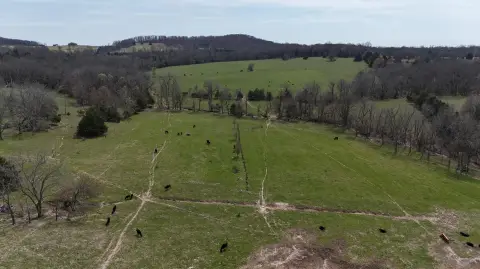 40 Acres of Land, Macomb