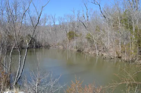 Wooded Land with Pond and Barn