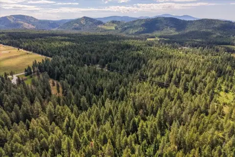 Treed Acreage with Shop Pad