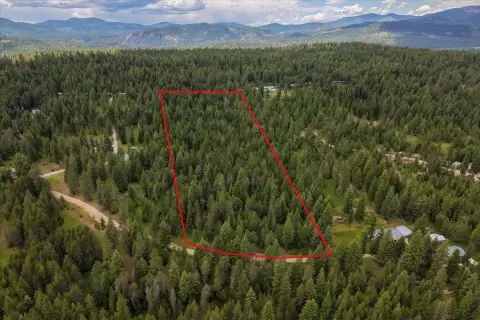 Treed Vacant Land Parcel