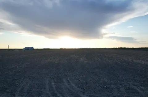 11.28-Acre Farmland Tract