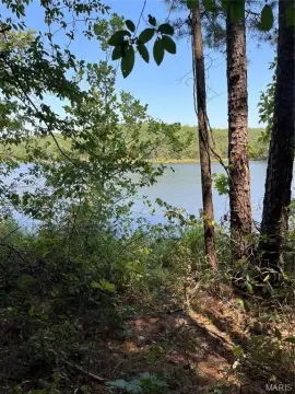 Land For Sale, Lowndes, MO