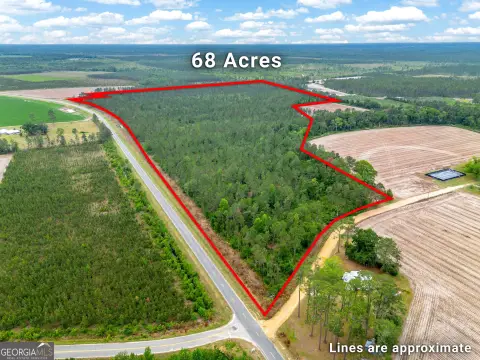 68 Acres in Nicholls, Georgia