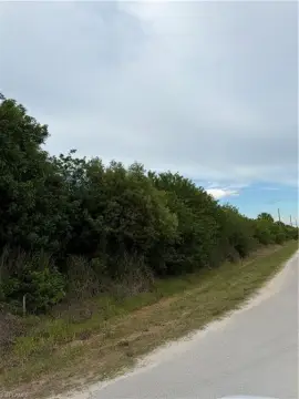 Residential Land in Naples, Florida