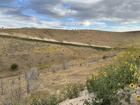 Pocatello Land with Mountain Views