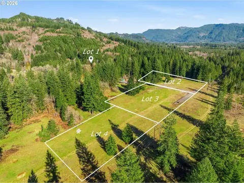 Flat Treed Residential Land Lot