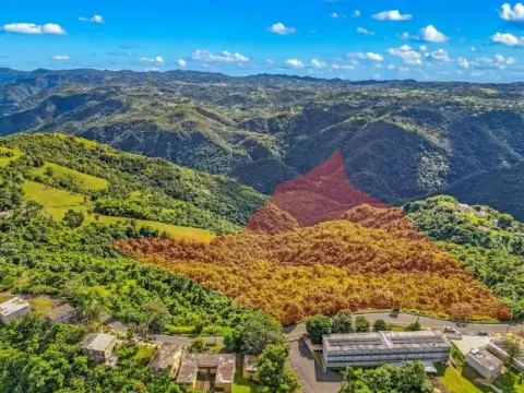 Agricultural Land in Barranquitas, PR