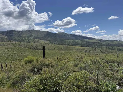 Recreational Hunting Land