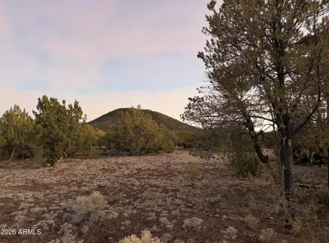 Residential Land in Williams, Arizona