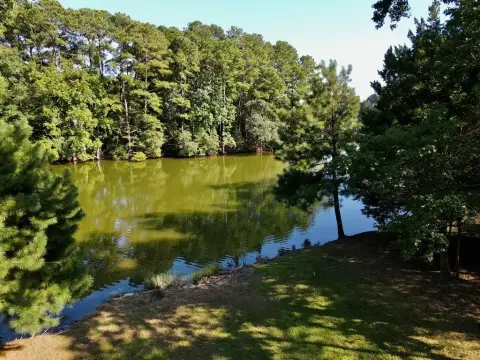 Waterfront Land on Back Creek
