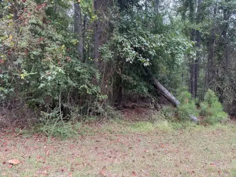 Residential Lot in Eufaula, AL