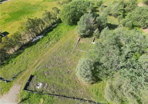 Land with Mature Oak Trees