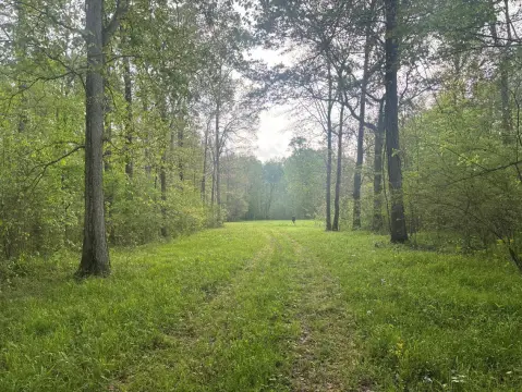 Timber and Recreation Tract