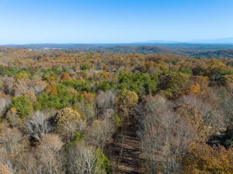 Wooded Residential Land Lot