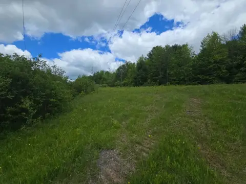 Wooded Recreational Hunting Land Parcel