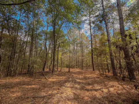 50 Acres Vacant Land