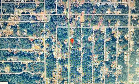 Residential Lot in Inverness, FL