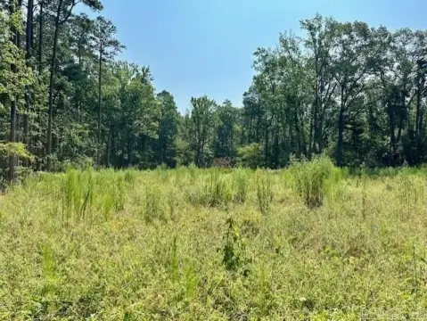 Pine Bluff Wooded Acreage For Sale