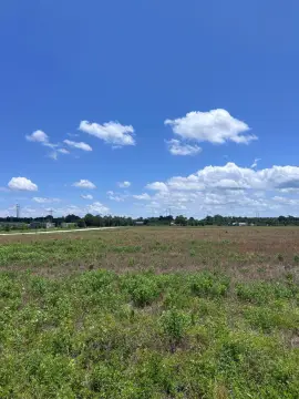 Open Farmland with Dual Road Frontage
