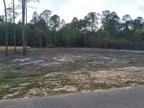 Cleared Lot in Irvington, AL