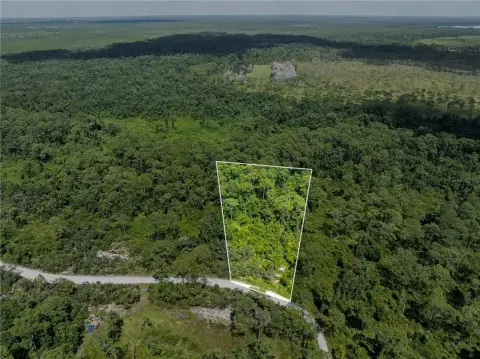 2.49 Acres in Blue Jordan Forest