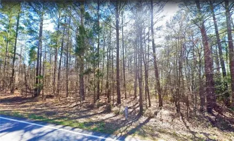 Flat Commercial Land Parcel
