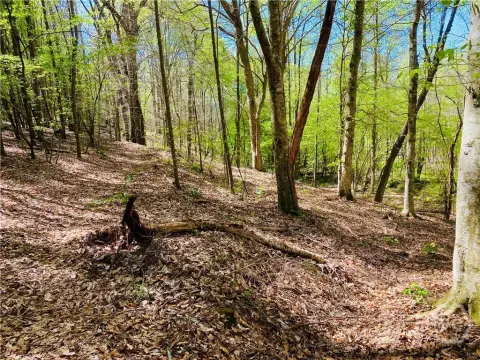 Wooded Acreage Near Athens, GA