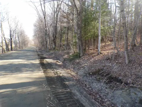 Wooded Land Near Golf Course