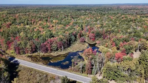 Wooded Recreational Land