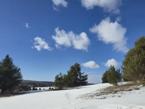 Harbor Springs Buildable Acreage