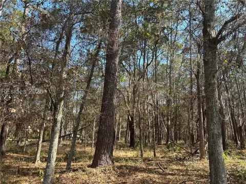 Daufuskie Island Treed Homesite