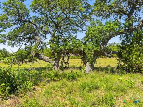 Oversized Land in Stallion Estates