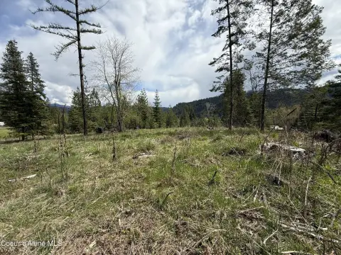 Residential Land Near St. Maries