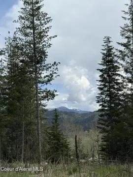Serene Land Near St. Maries