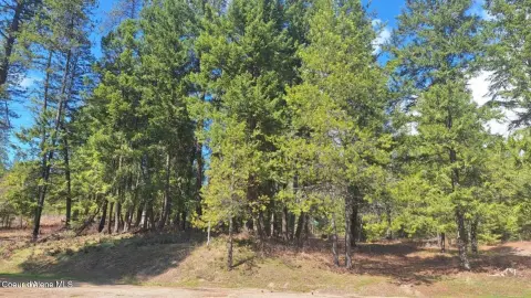 Residential Land in Golf Community