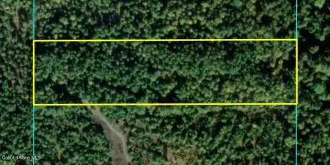 Wooded Land Parcel in Idaho