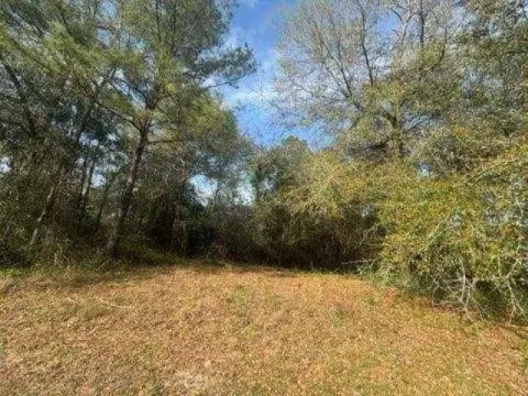 Residential Land in Delta Woods