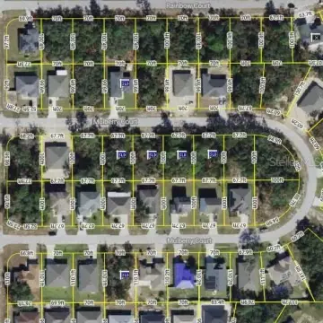Residential Lots in Poinciana, FL