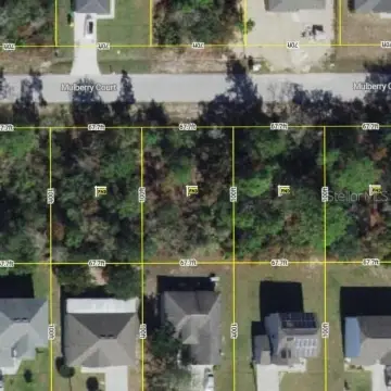 Residential Lots in Poinciana, FL