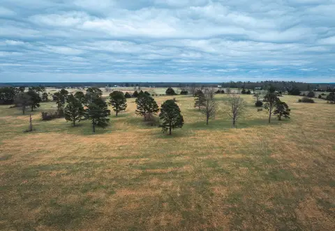 Agricultural Land Ready for Use